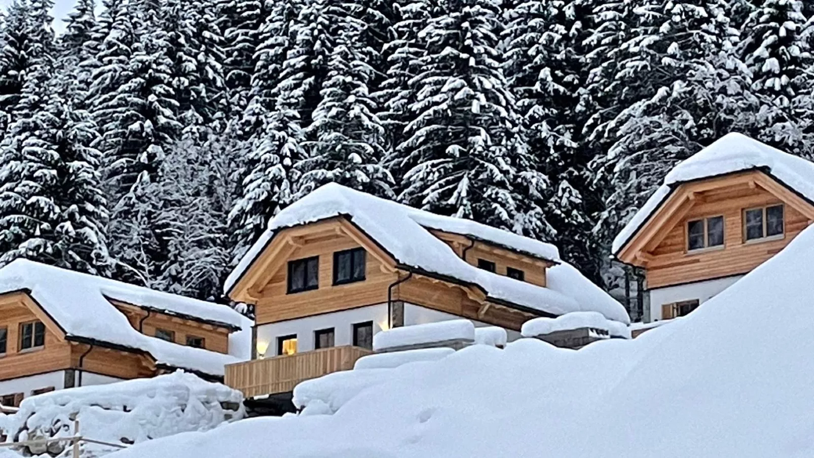 Chalet Hirschblick-Exterior winter
