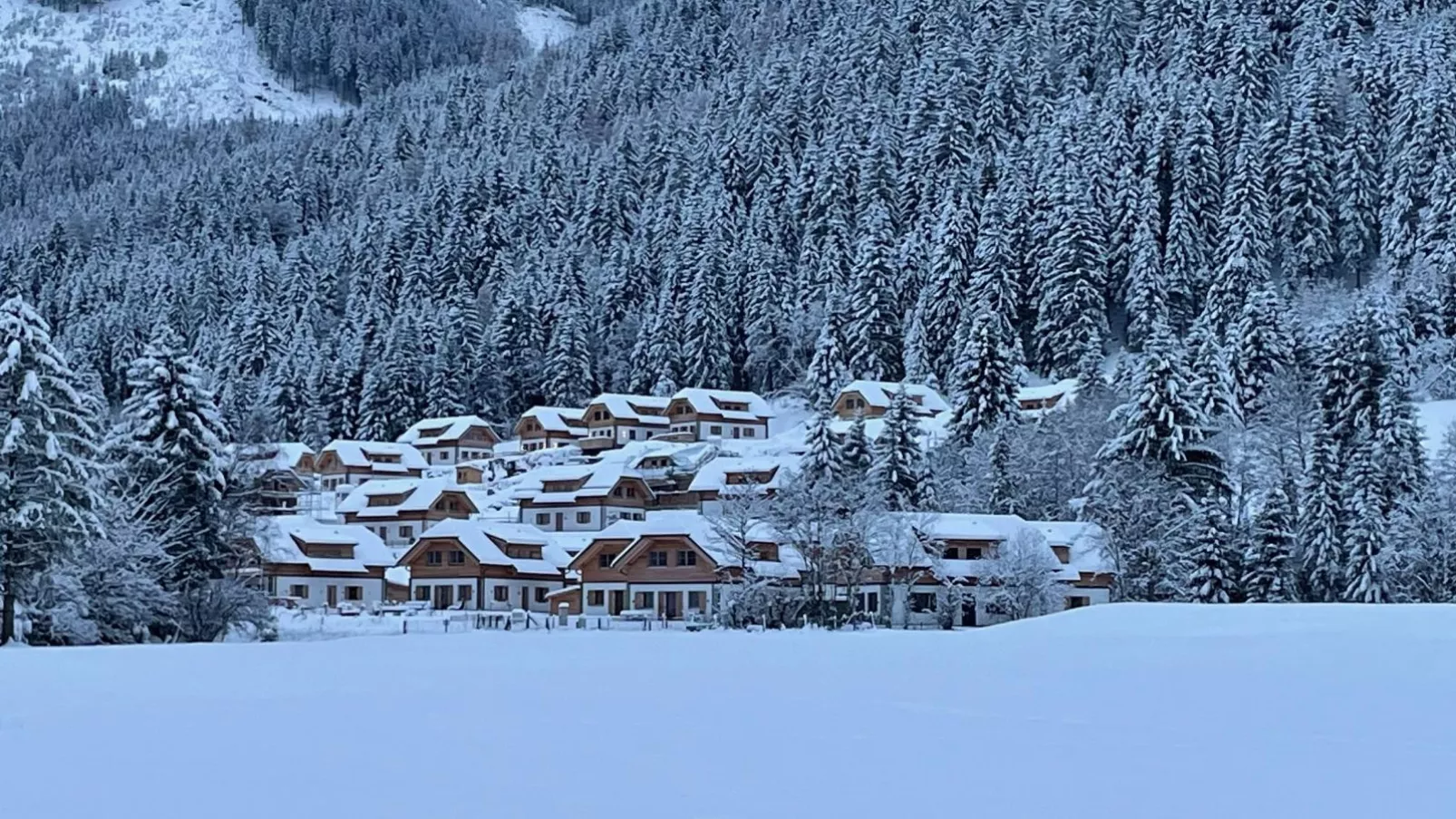 Chalet Hirschblick-Area winter 1km