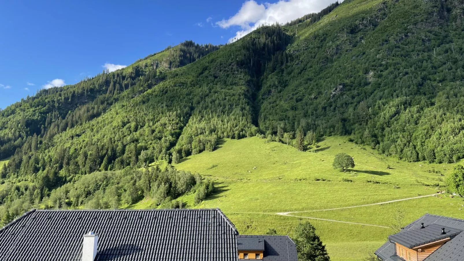 Chalet Hirschblick-View summer
