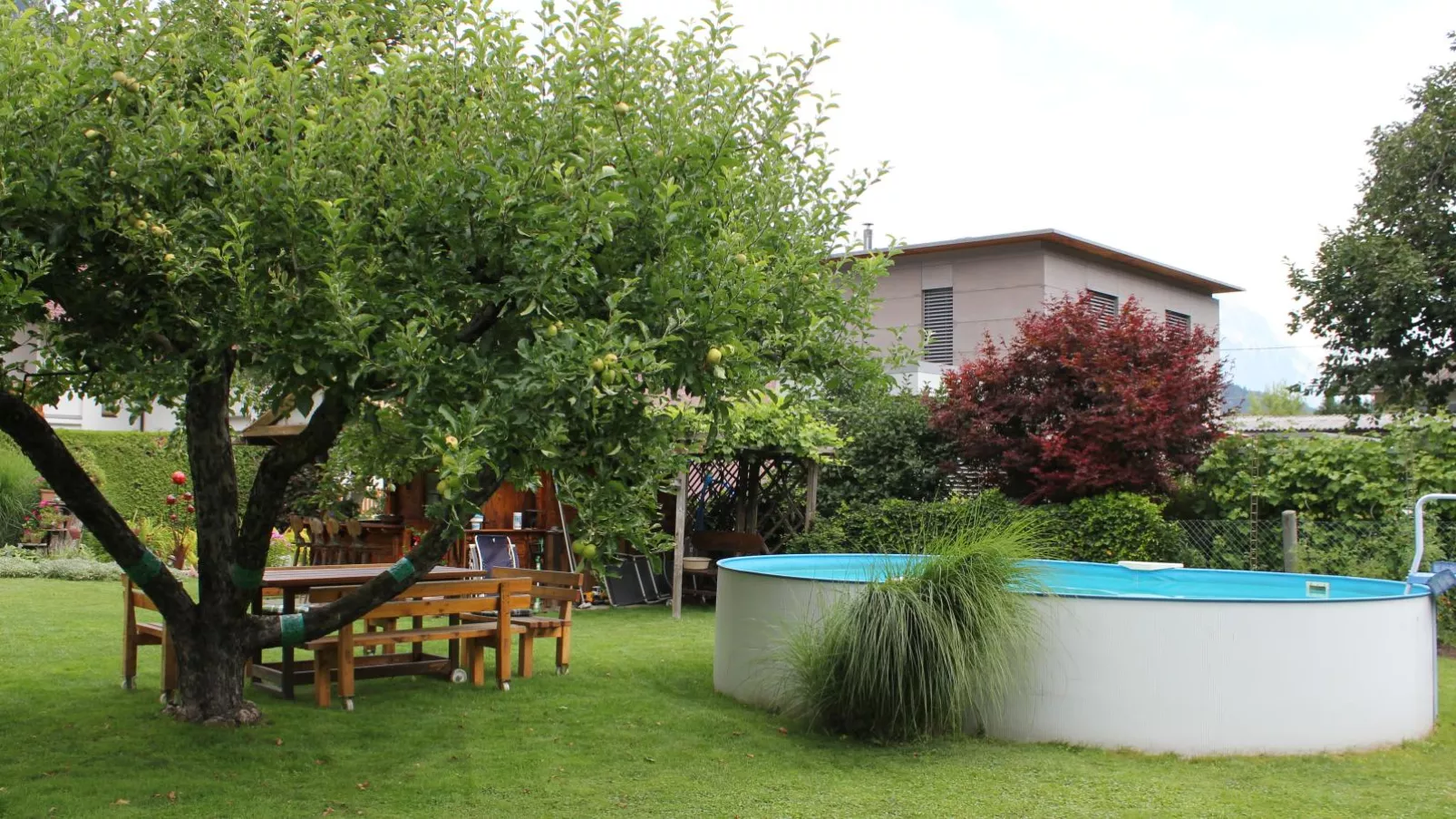 Haus Wammes-Pool