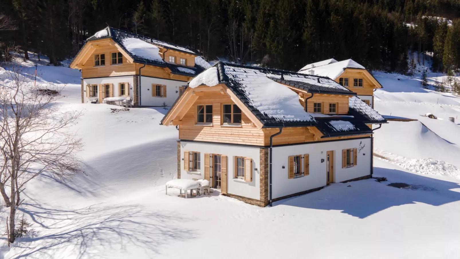 Sperlingnest-Exterior winter
