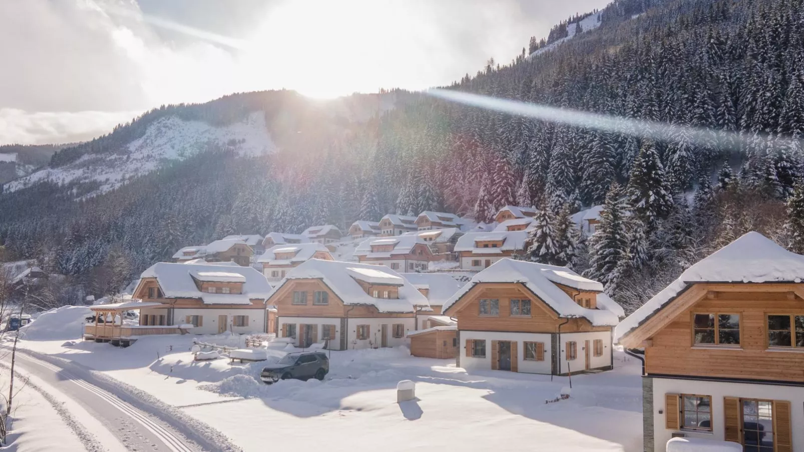 Sperlingnest-Exterior winter