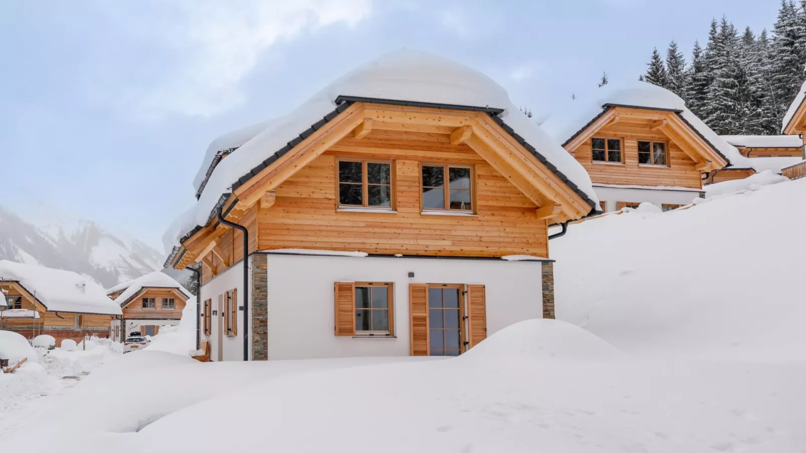 Alpenjoy Lodge-Exterior winter
