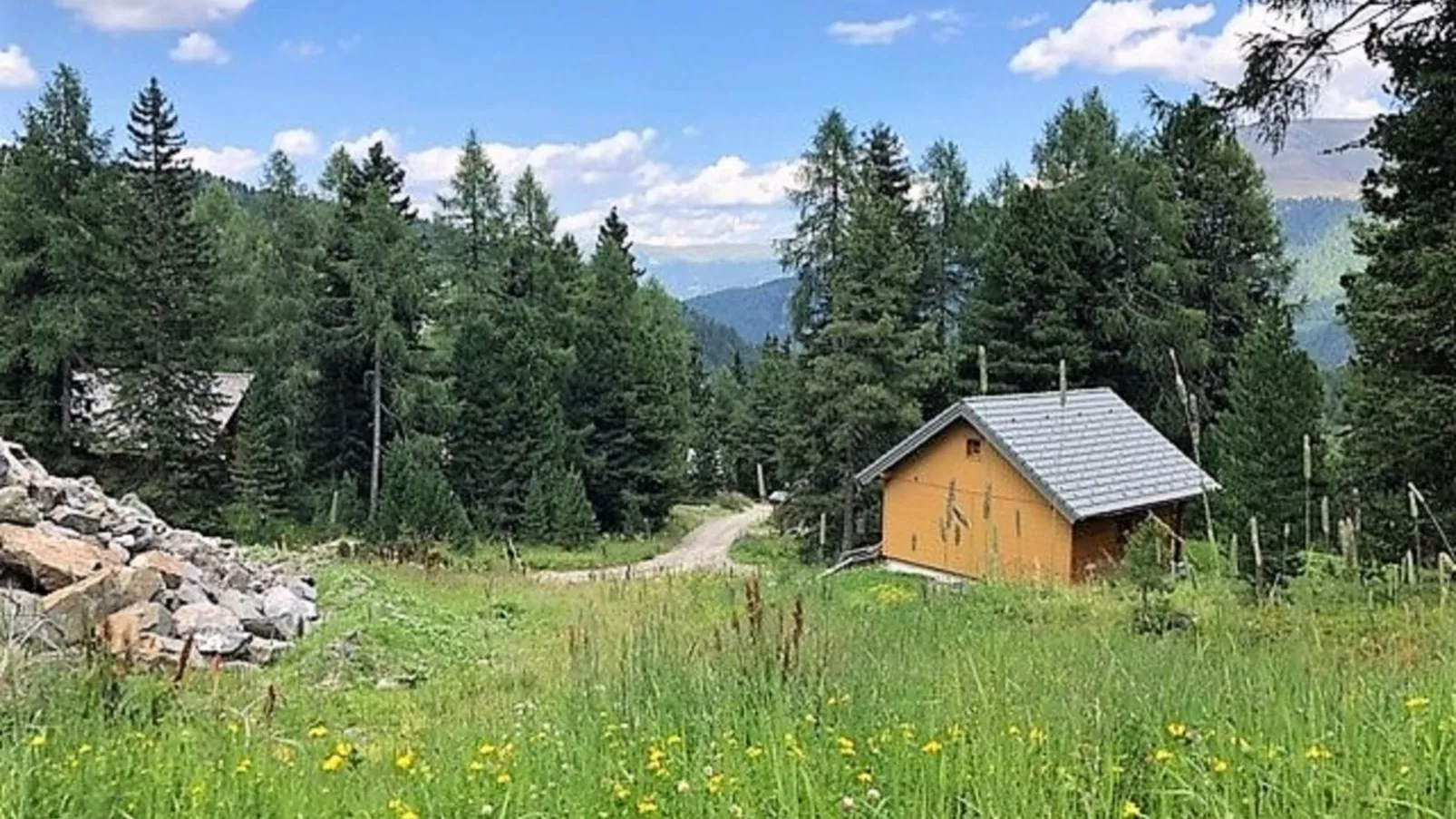 Haus Vlietländer-Areas summer 5km