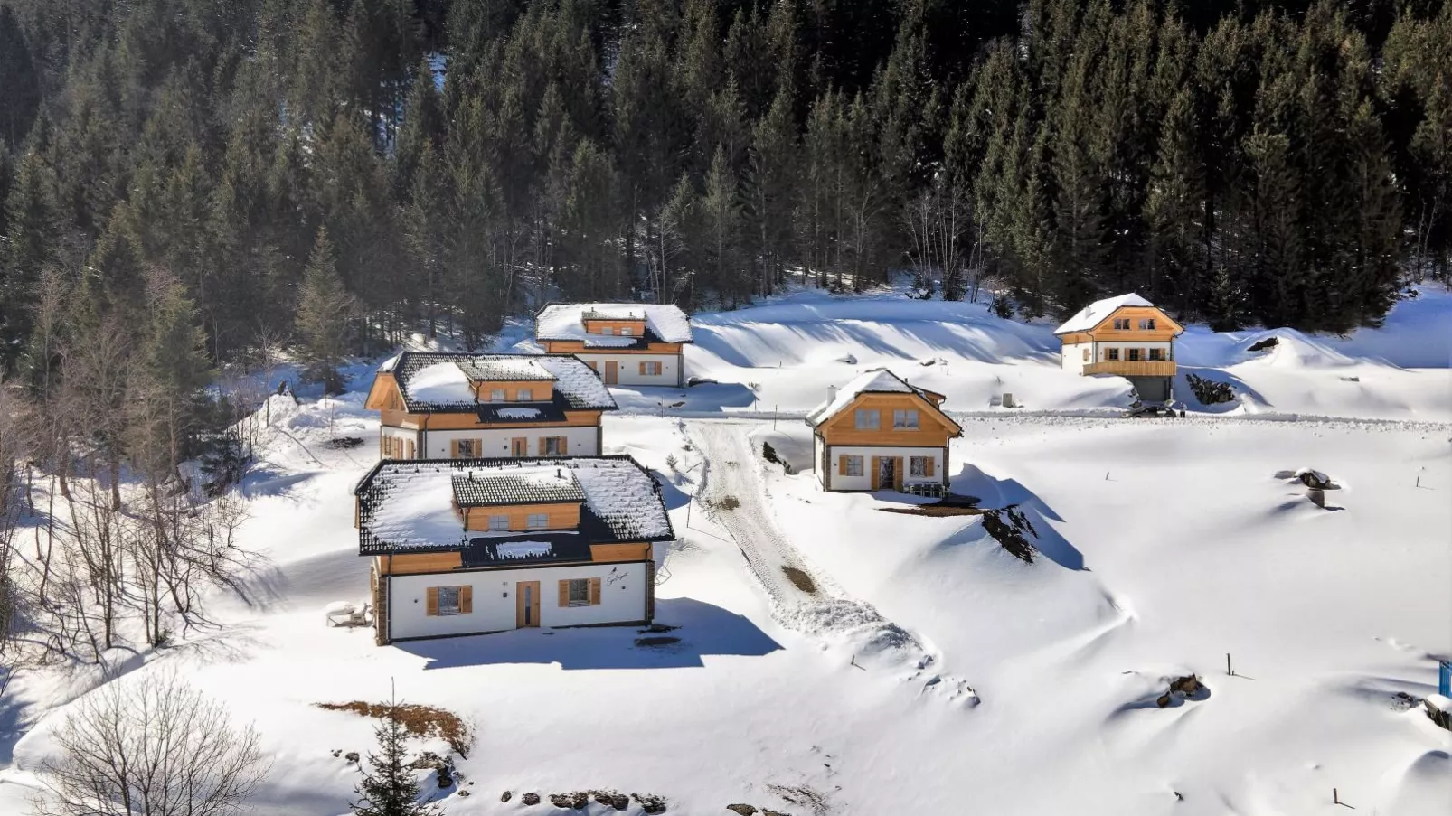 Traumhaus-Exterior winter
