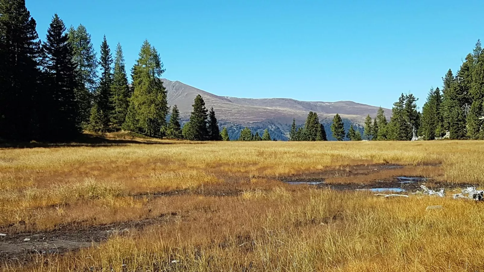 Turrach Lodge-Areas summer 5km