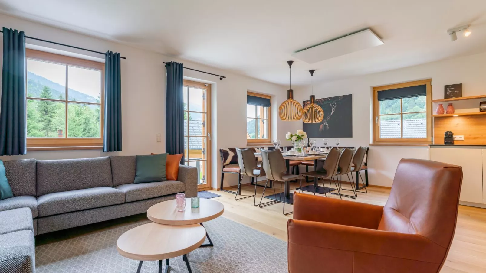 Riesner Alpenlodge-Living room