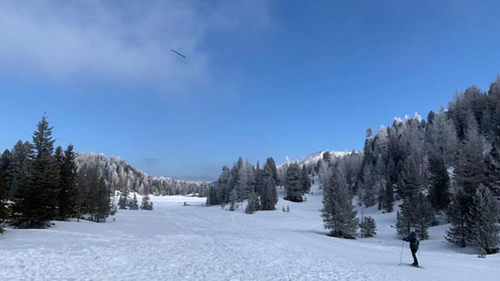 Ibex panorama Lodge-Area winter 5km