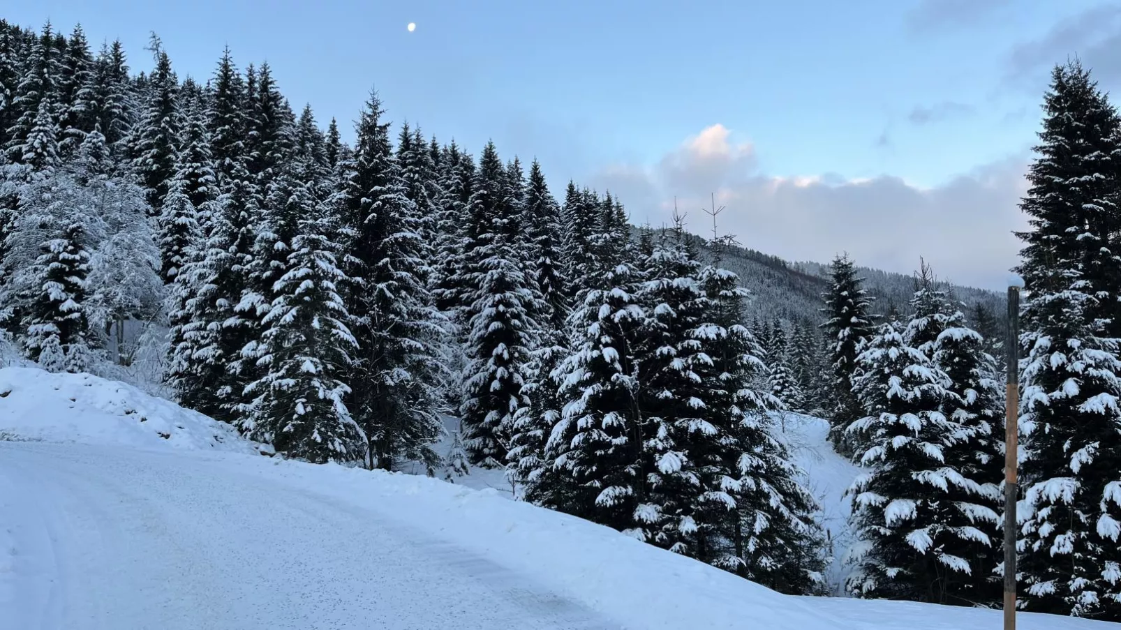 Riesner Alpenlodge-Area winter 1km