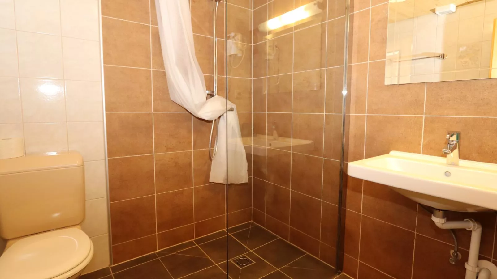 Bergheimat L-Bathroom