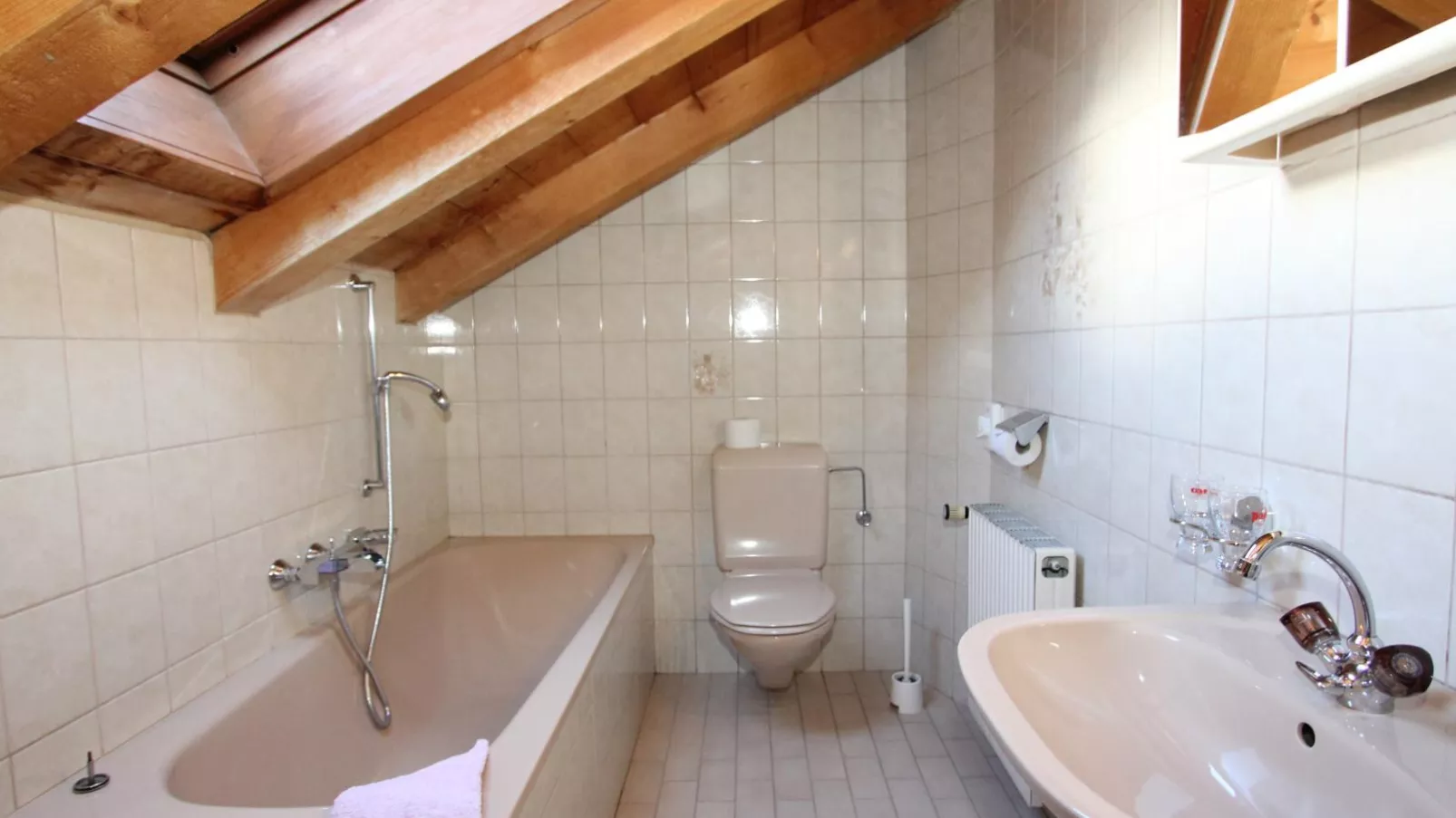 Bergheimat L-Bathroom