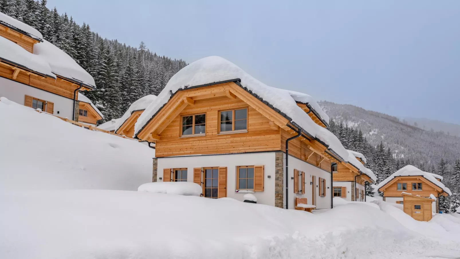 Haus Enzian-Exterior winter