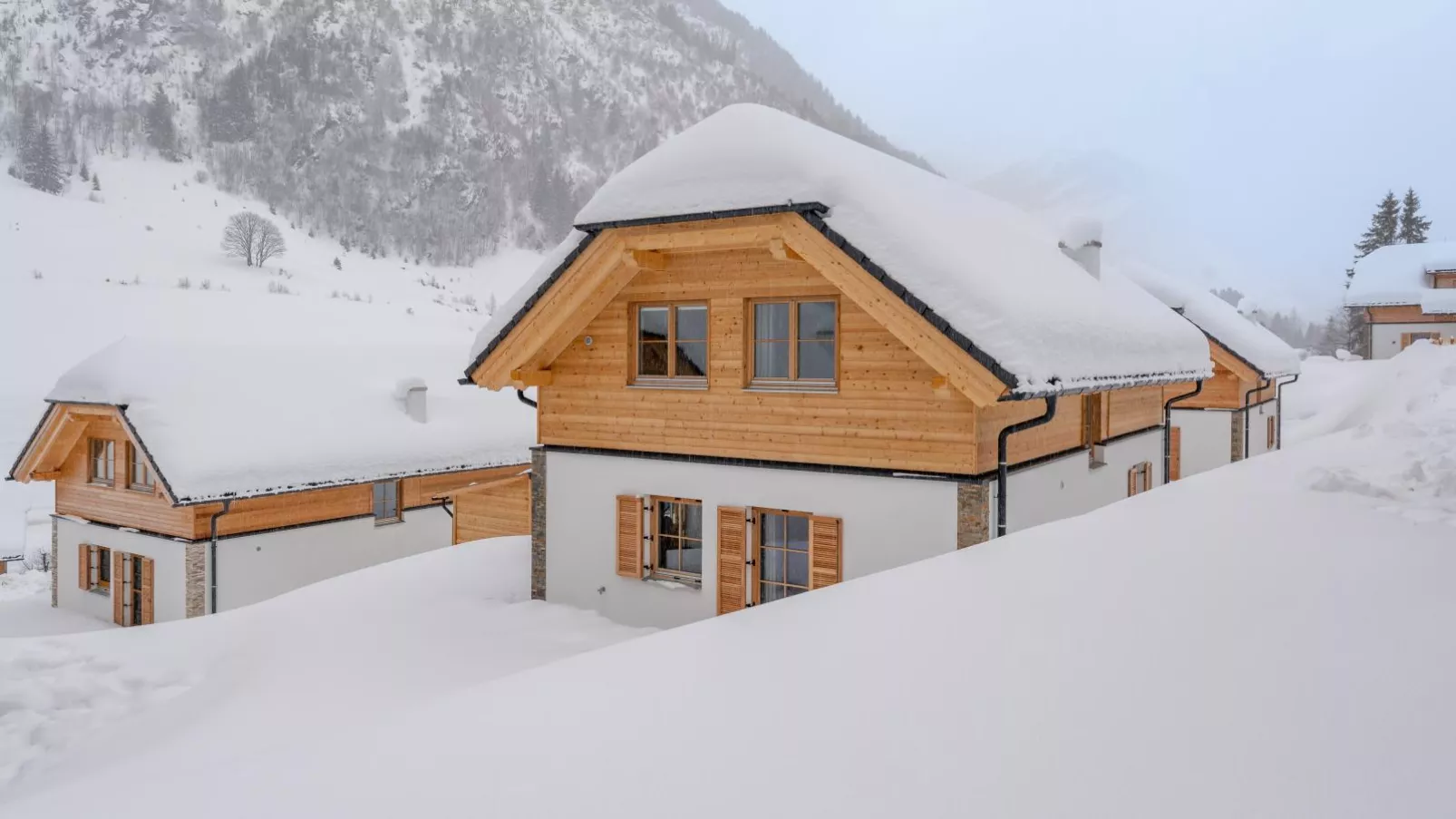 Haus Enzian-Exterior winter