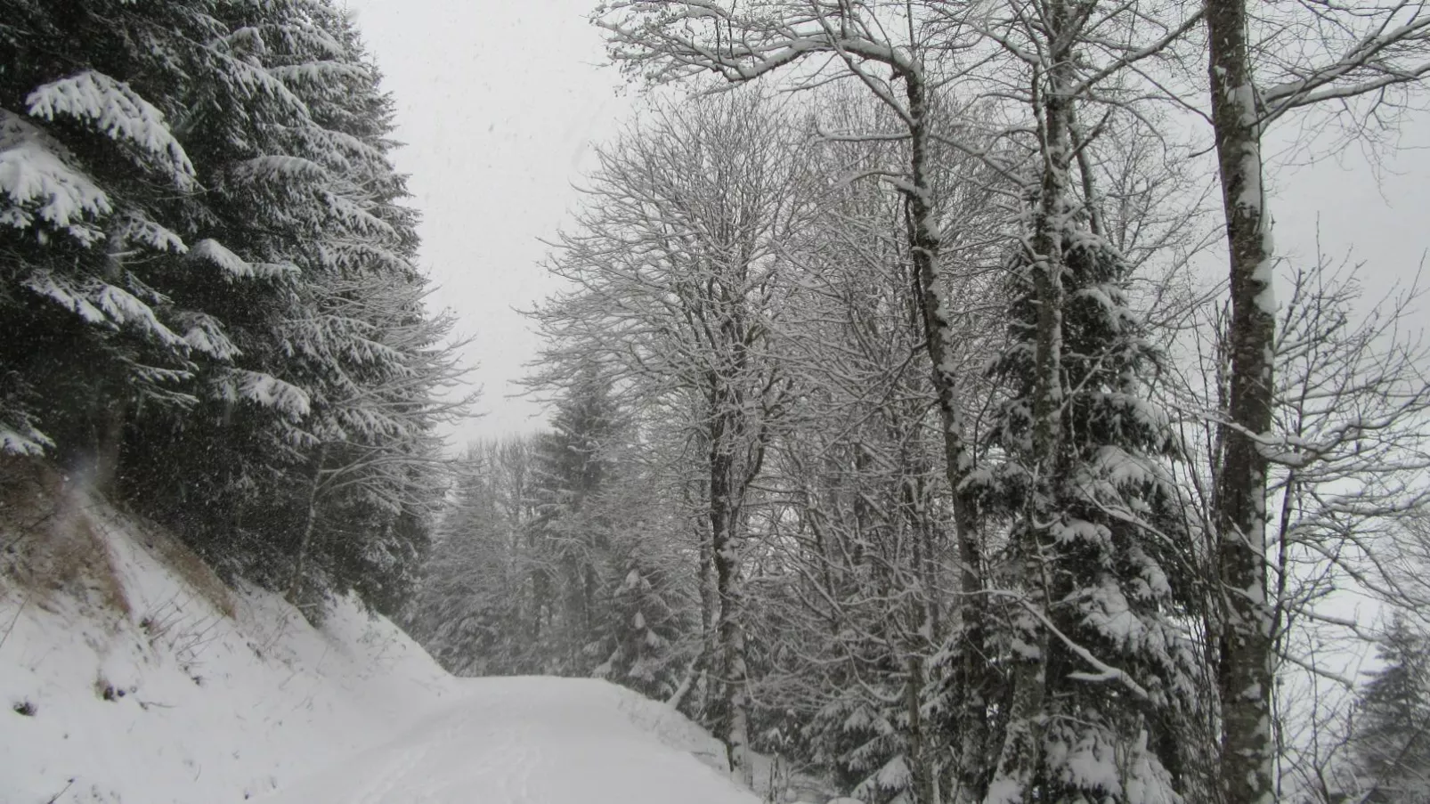 Haus Hestia-Zone d'hiver à 1 km