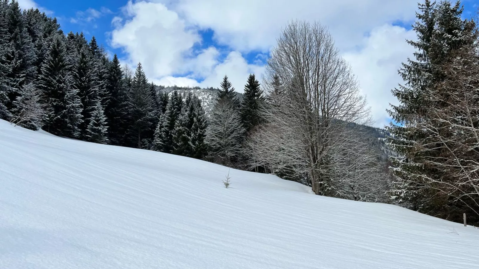 Haus Bente-Zone d'hiver à 1 km