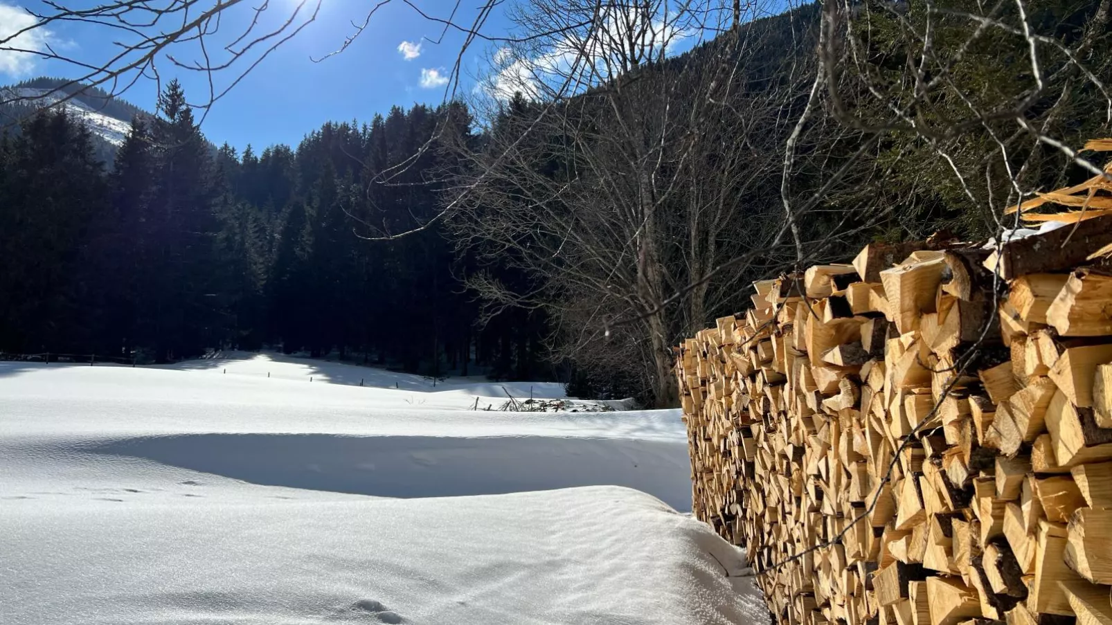 Haus Bente-Zone d'hiver à 1 km
