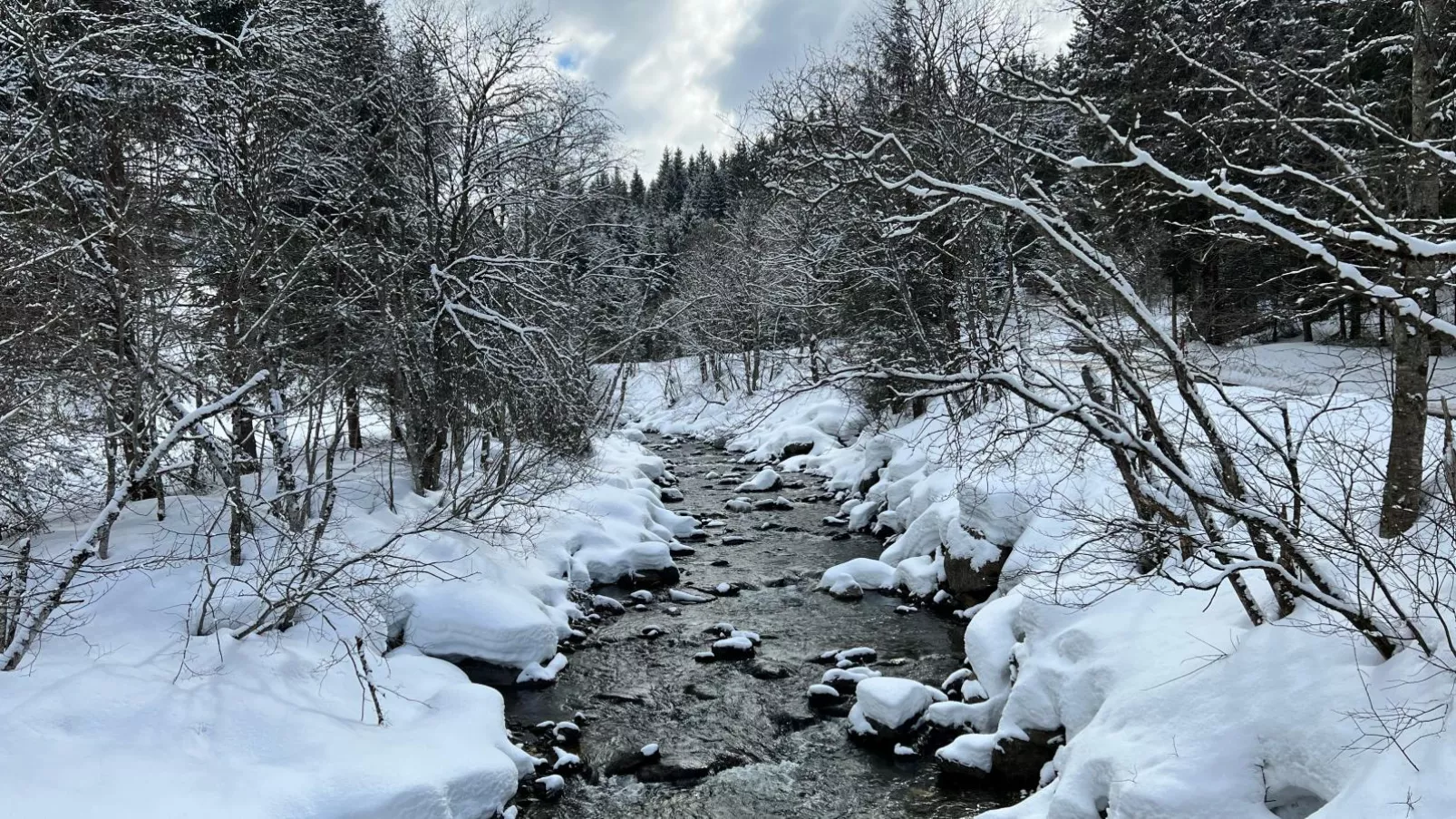 Haus Bente-Zone d'hiver à 1 km