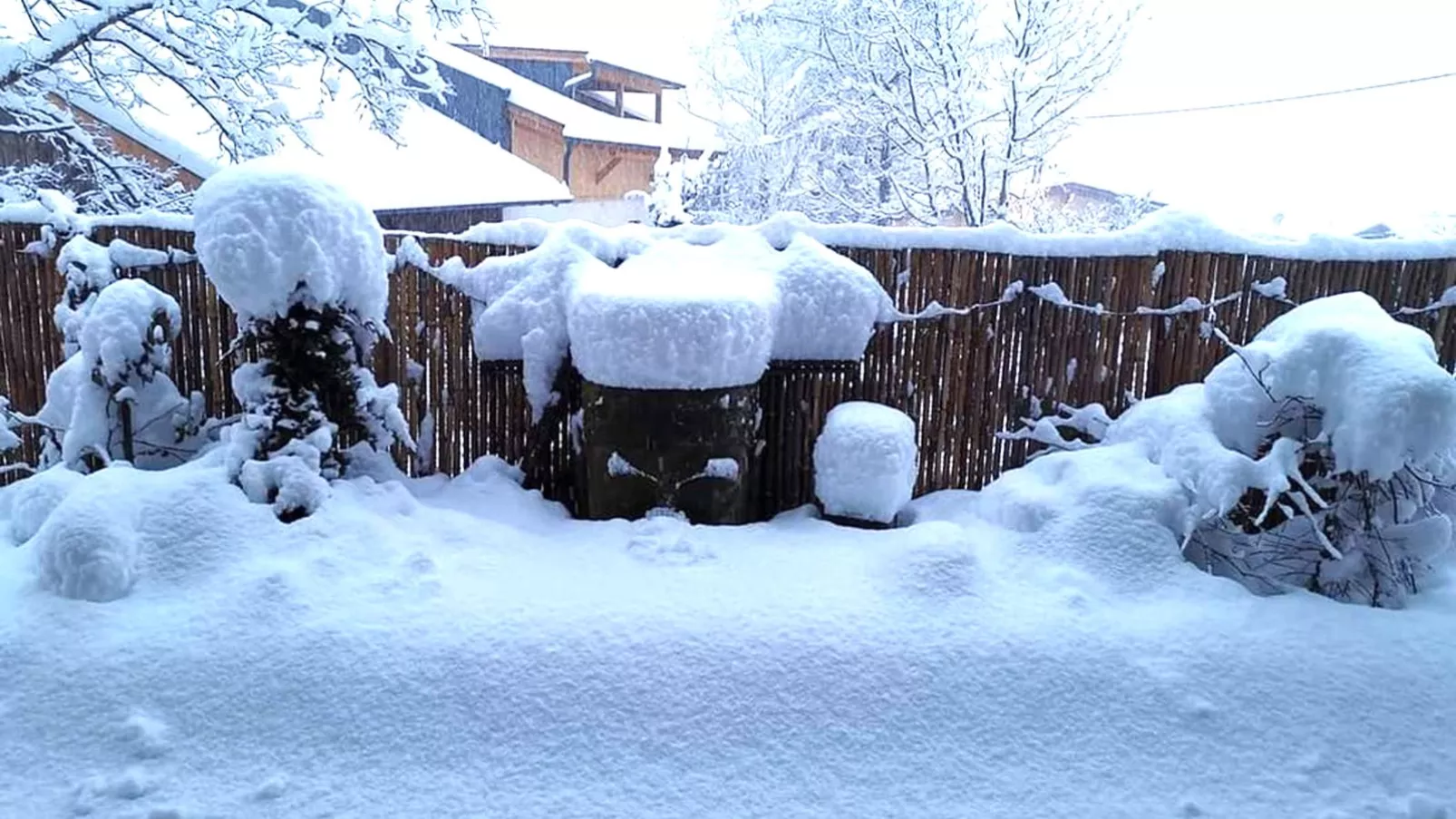 Wohlfarter-Garden winter