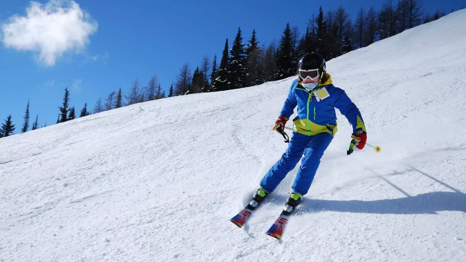 Chalet Amsel-Area winter 20km