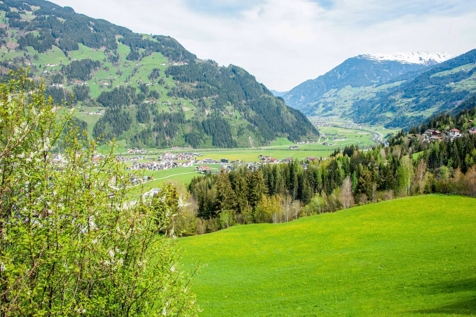 Klammerhof - Zillertalblick-View summer