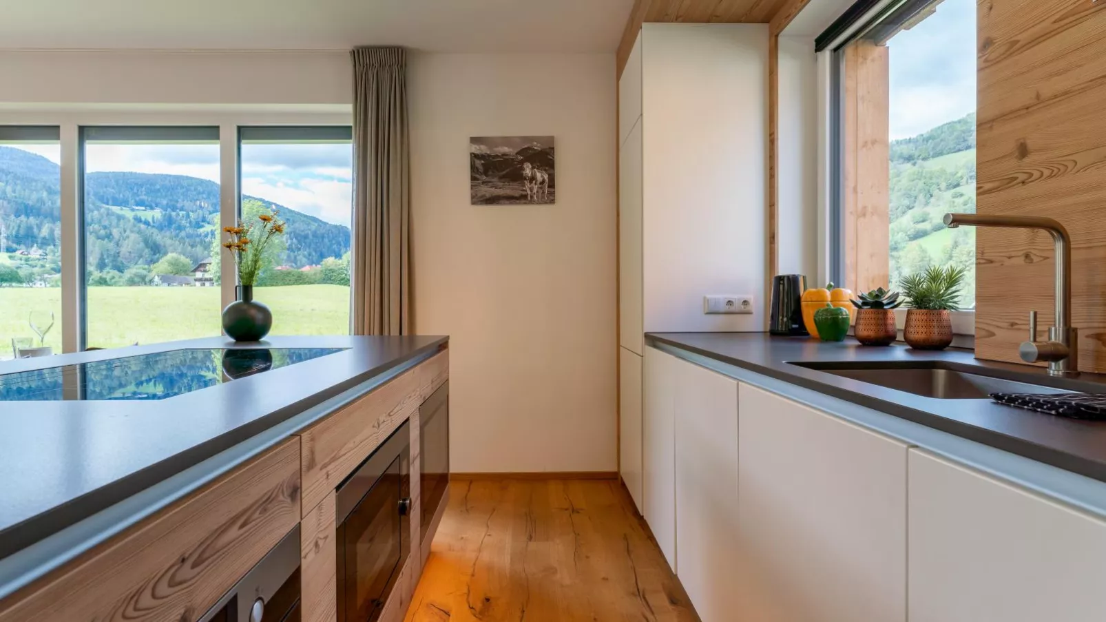 Mountain Vista-Kitchen