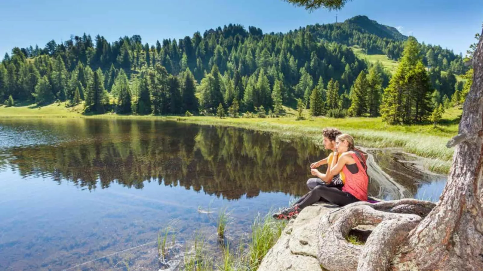 Mountain Chalet Luxx-Areas summer 5km