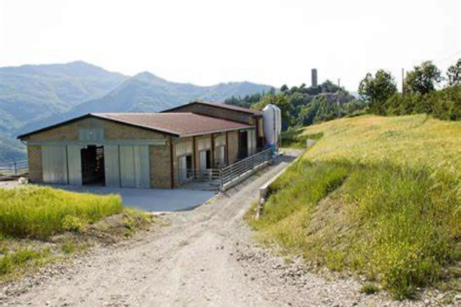 Agriturismo La Torre-Exterior summer