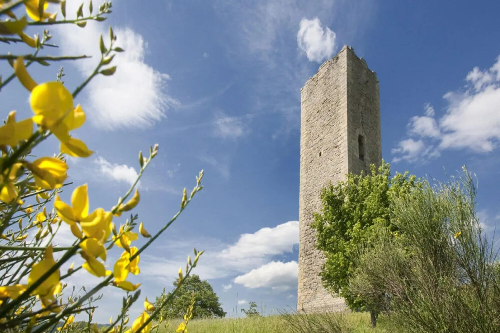 Agriturismo La Torre-Areas summer 1km