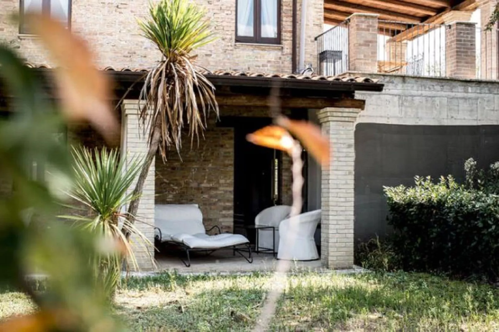 Cardo-Exterior summer