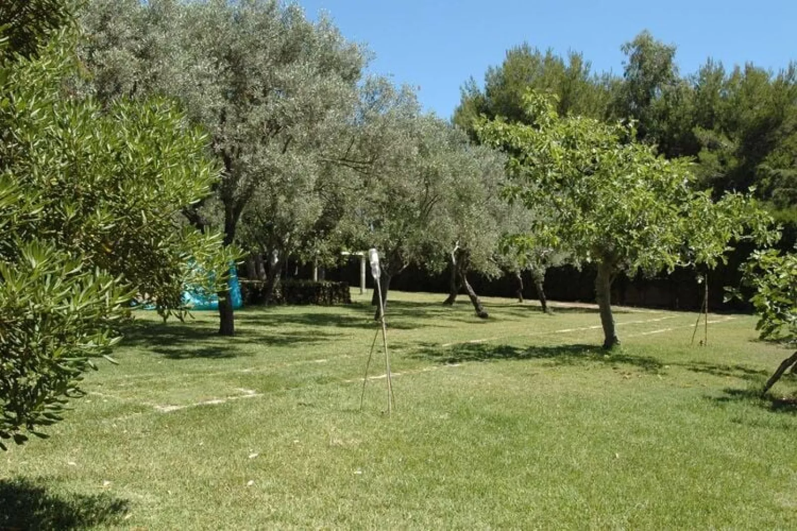 Holiday home Fanusa-Casa Fanusa mit Privatpool-Gardens summer