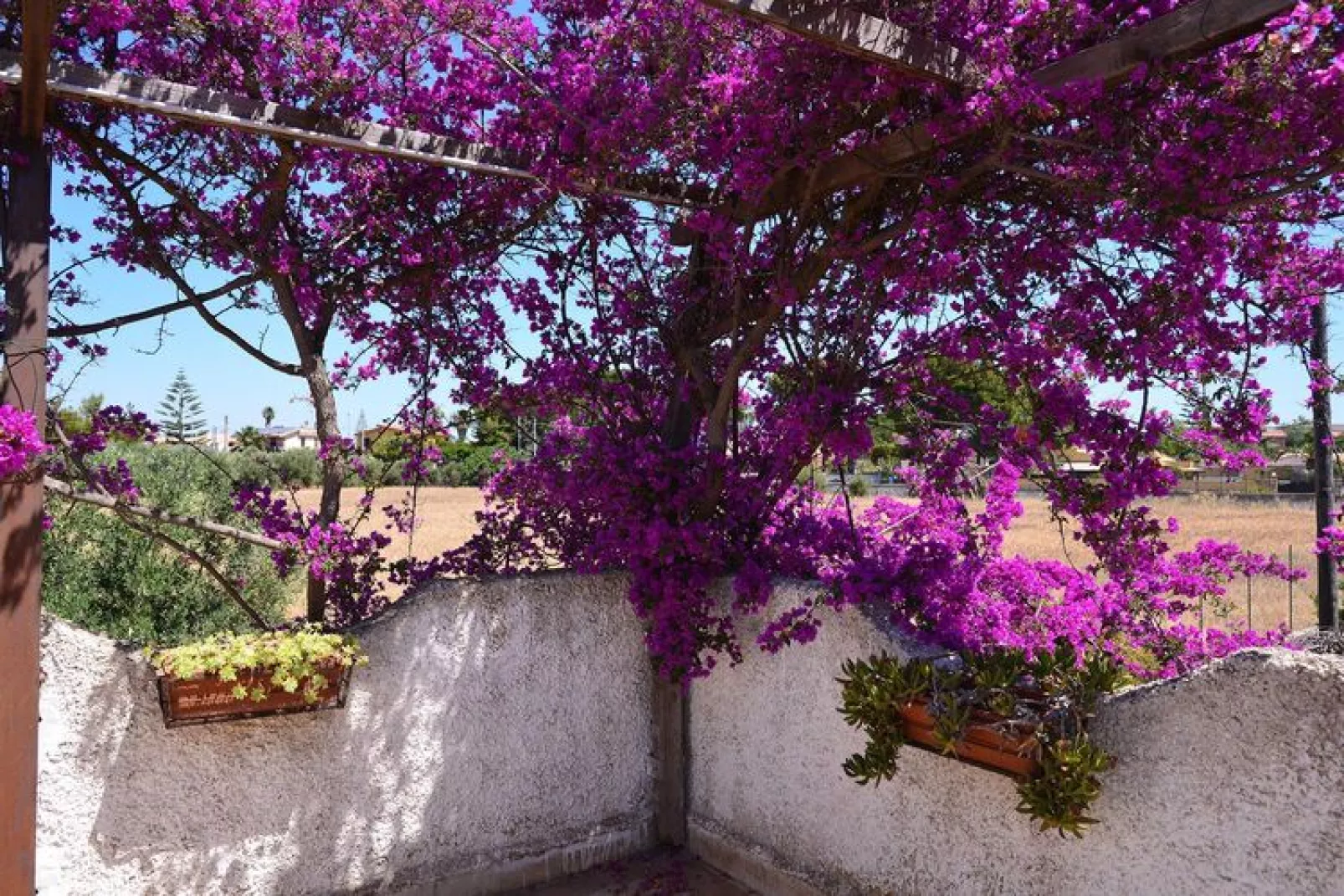 Holiday home Fanusa-Casa Fanusa mit Privatpool-Gardens summer