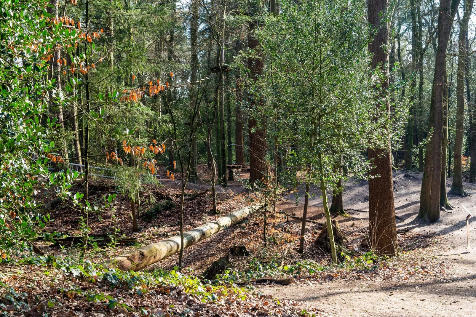 Chalet Alkenhaer nr 35-Areas summer 1km
