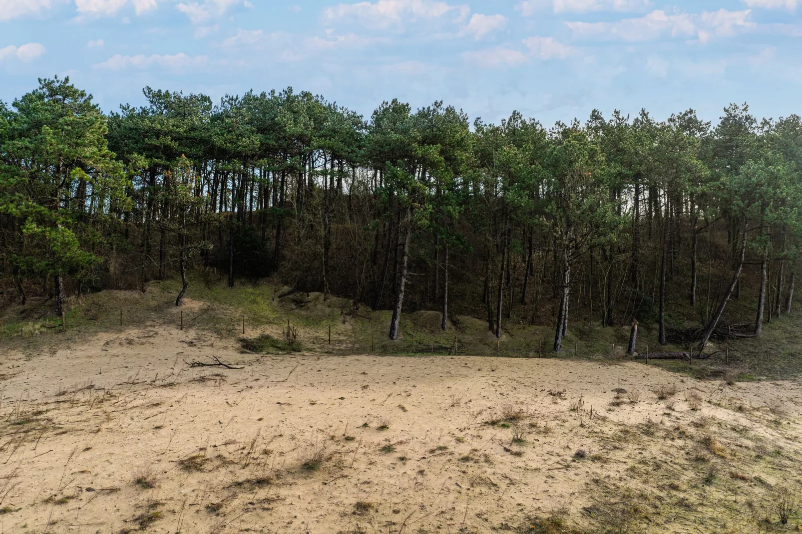 Apartments De Egmonden Egmond aan Zee-4 P-Gebiete Sommer 1 km