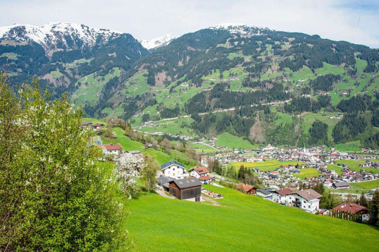 Klammerhof - Wiesenblick-View summer