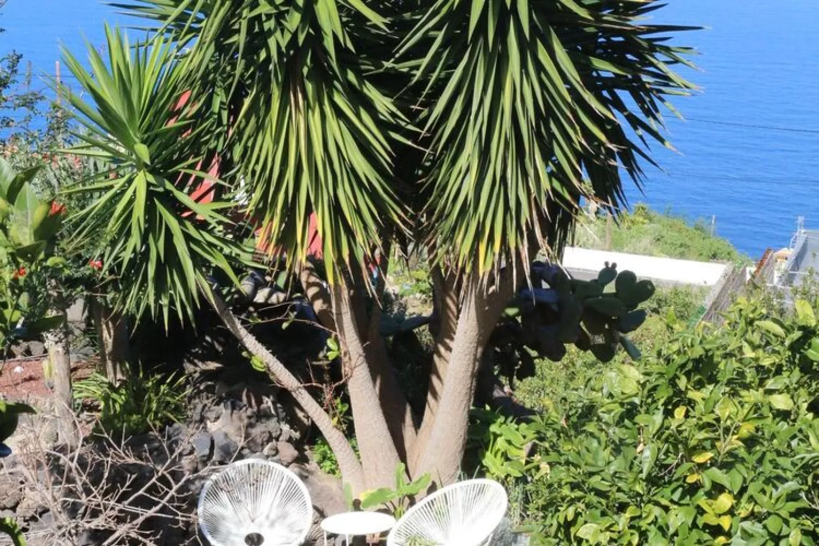 Finca La Hoya / 1-2 Personen-Gärten Sommer