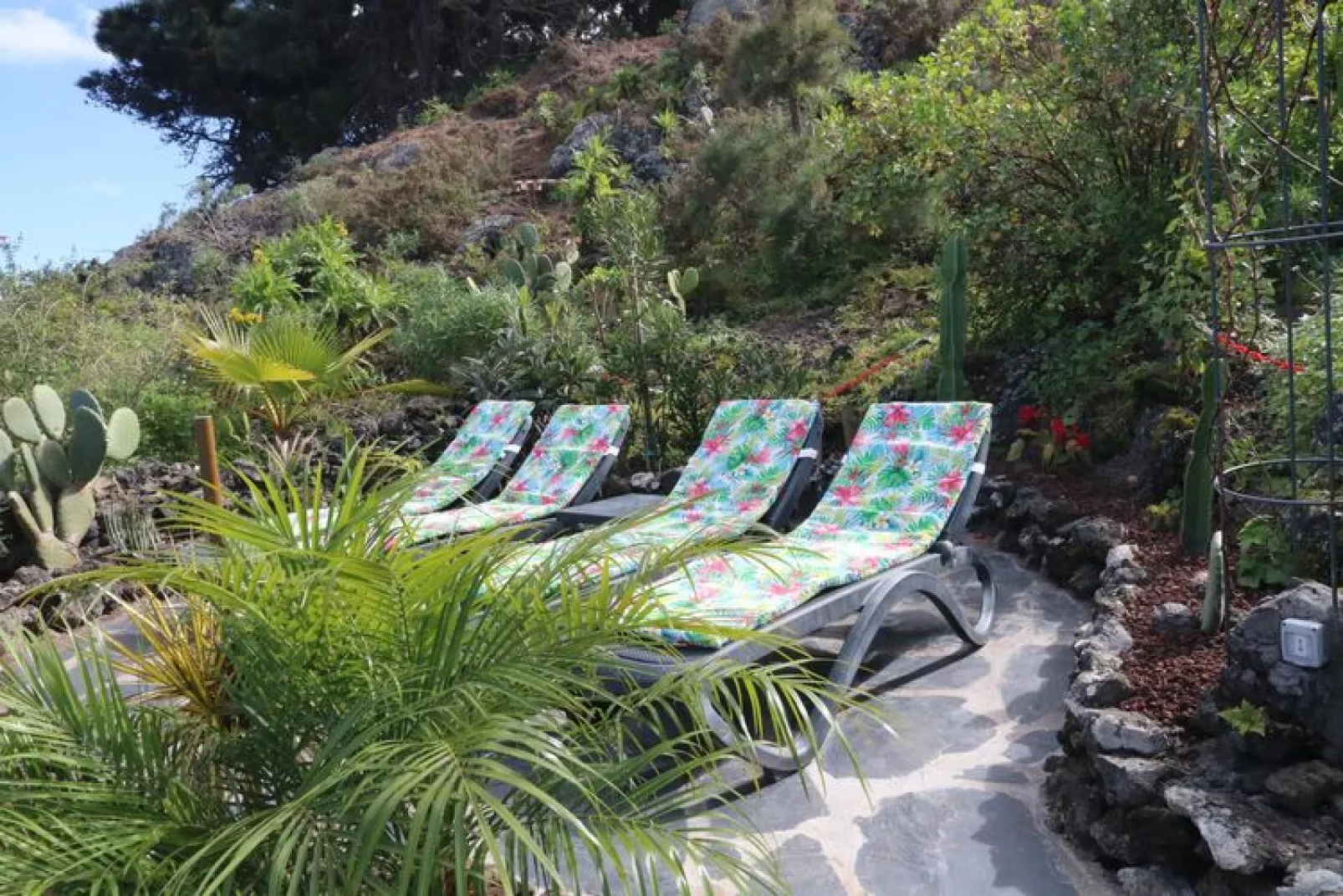 Finca La Hoya / 1-2 Personen-Einrichtungen