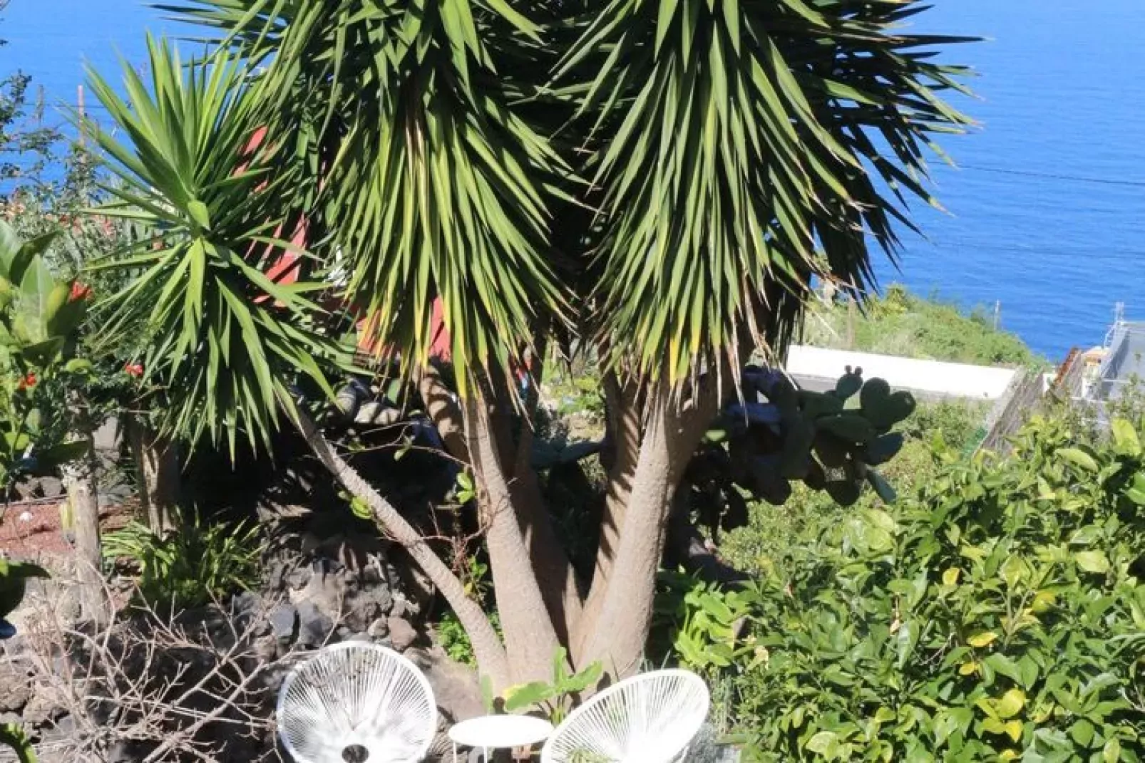 Finca La Hoya / 3-4 Personen-3-4 Personen-3-4 Personen-Gardens summer