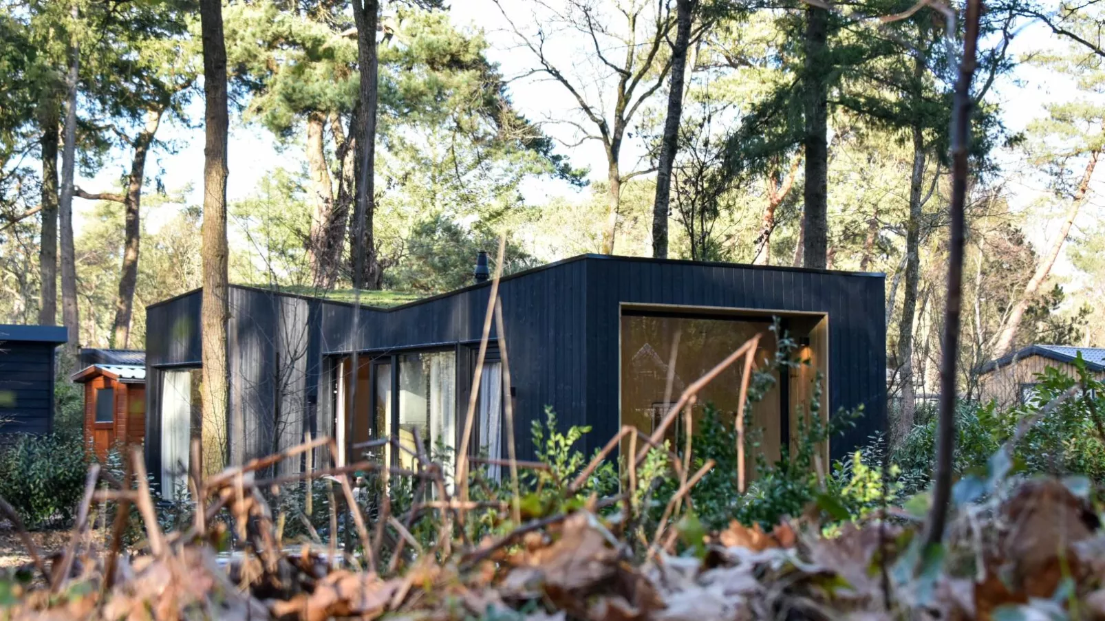 TED Tiny House-Exterior summer
