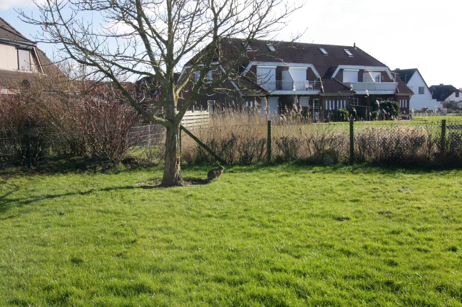 Reihenhaus Friedrichskoog-Spitze Kleiner Steert 4-Vue d'hiver
