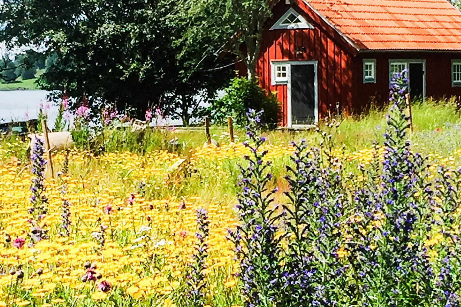 2 person holiday home in Bellö-By Traum-Outdoor