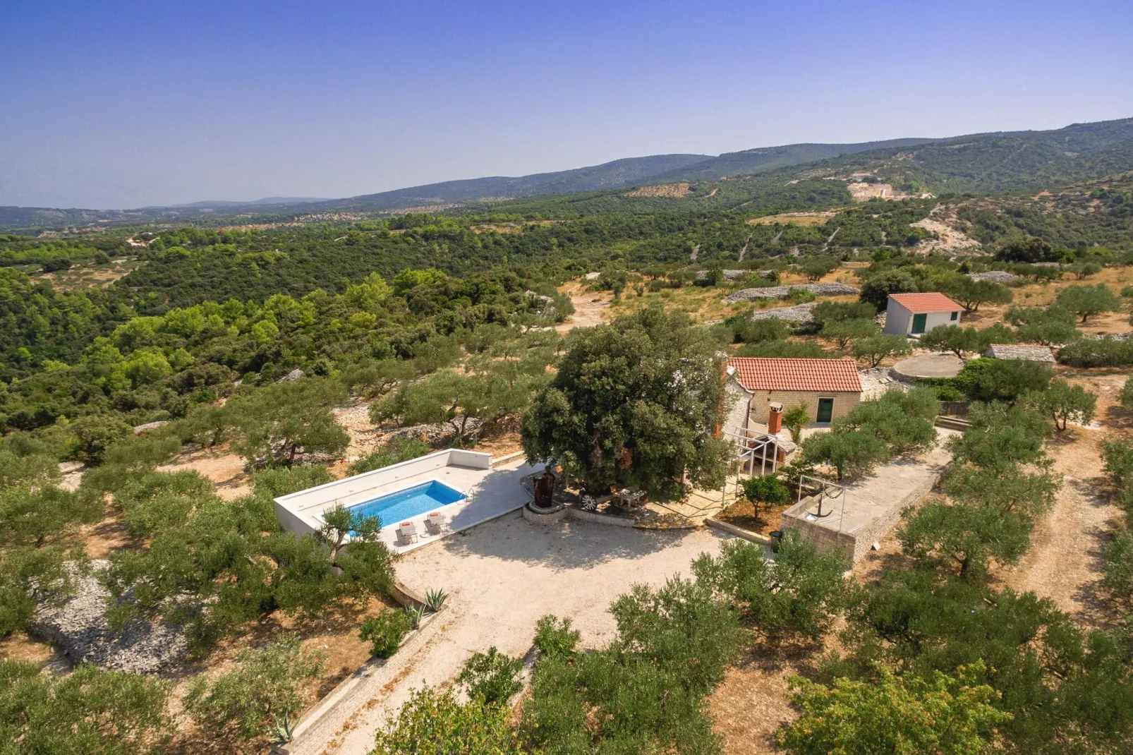 Villa Dubrava-Gardens summer