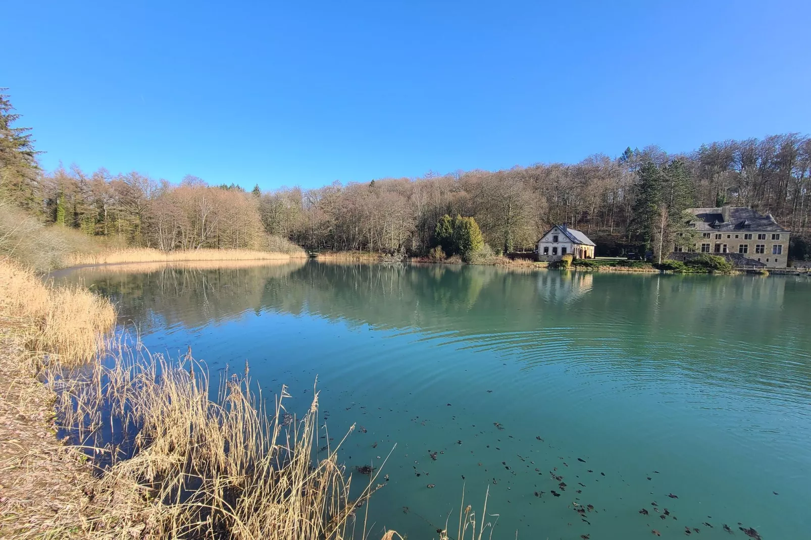 LE BOCARD-Areas summer 1km