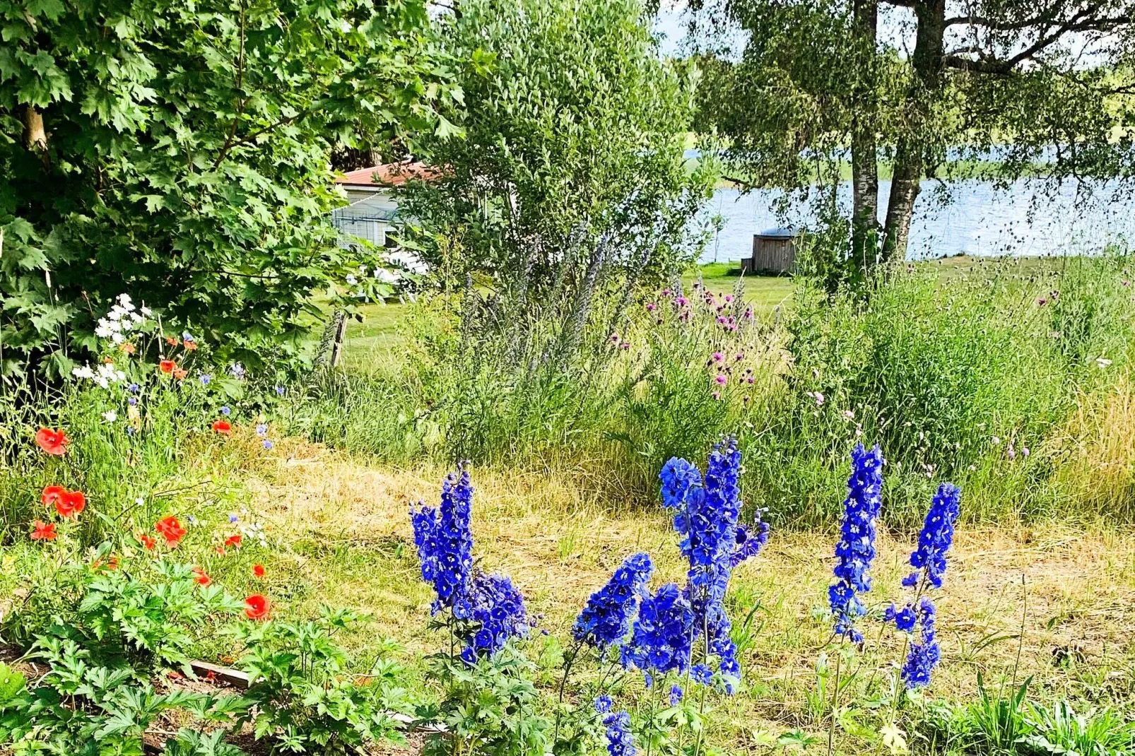 9 person holiday home in Bellö-By Traum-Not tagged