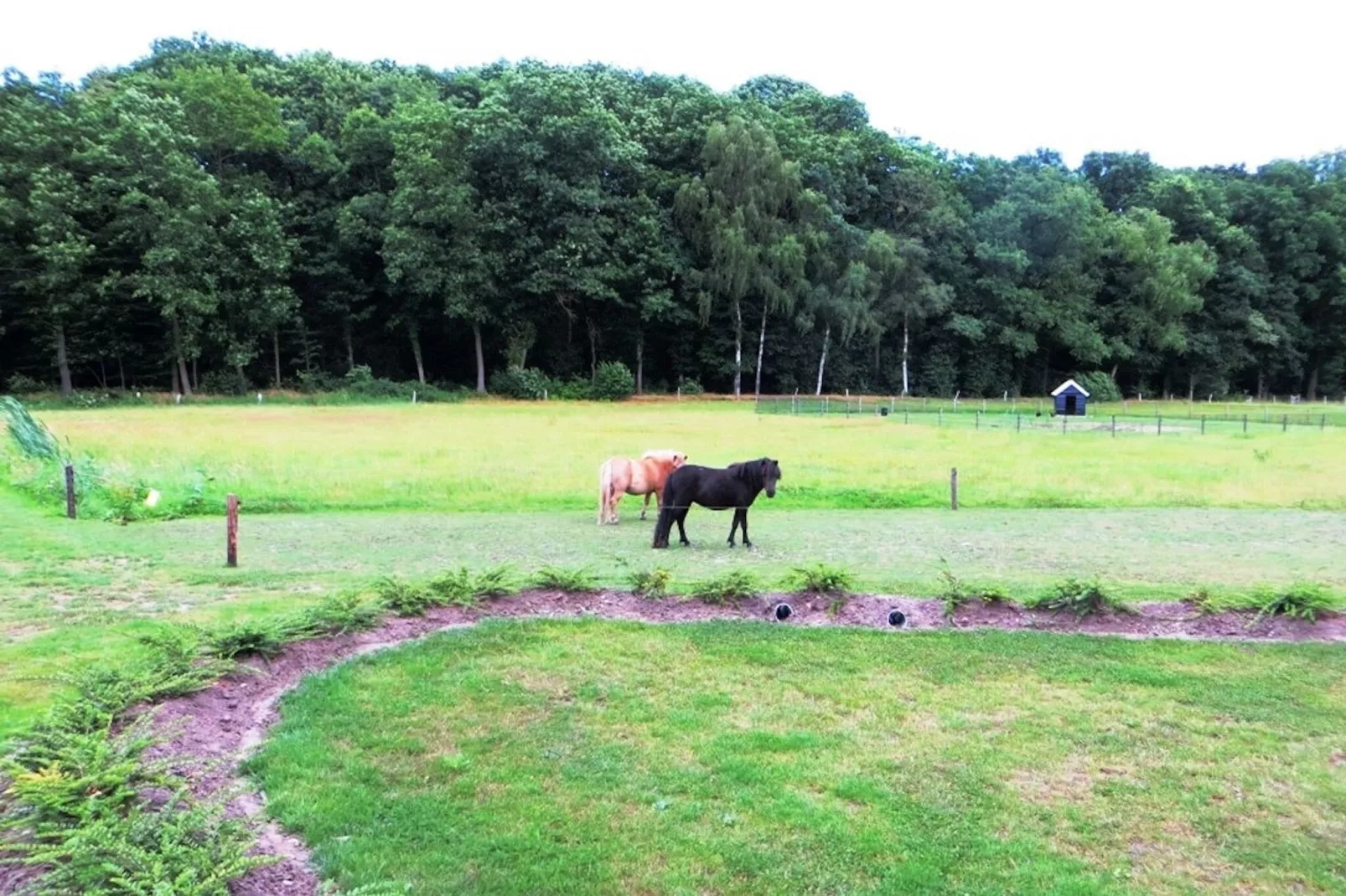 De Familieboerderij-Parkeinrichtungen