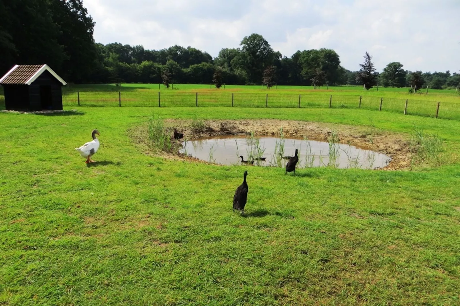 De Familieboerderij-Parkeinrichtungen