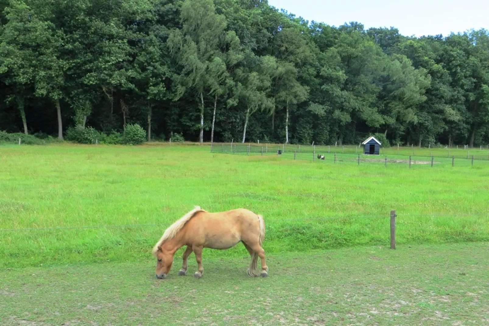 De Familieboerderij-Parkeinrichtungen