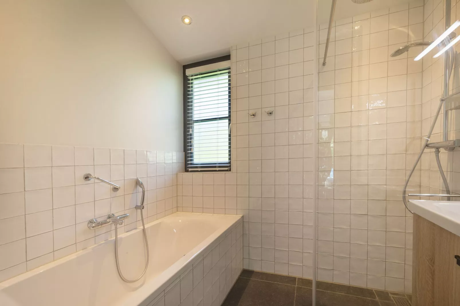 Bungalowpark Campanula 8-Bathroom