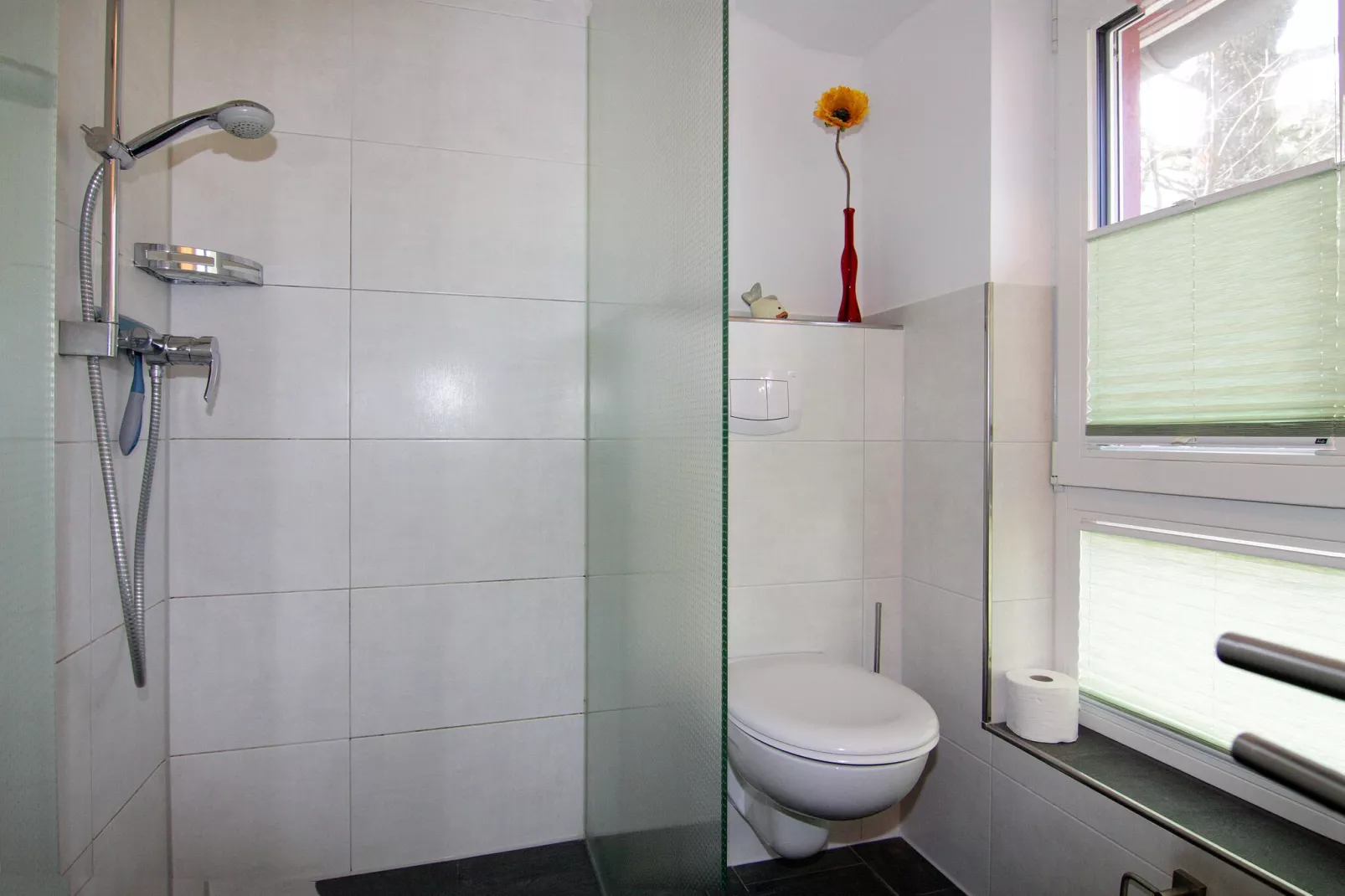 Doppelhaushälfte Luv in Zingst-Bathroom
