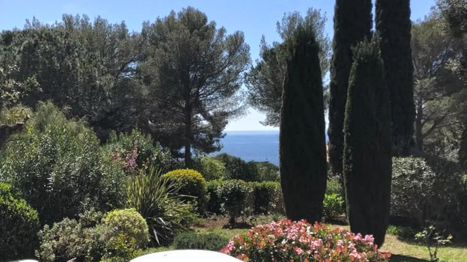 Loumic-View summer