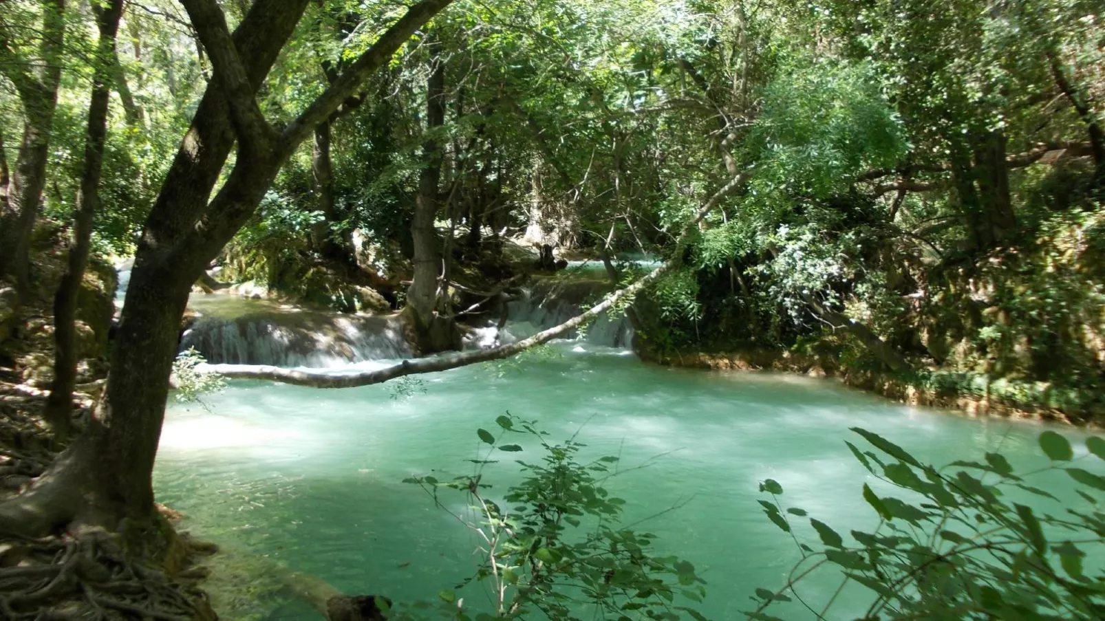 Les Burons-Areas summer 20km